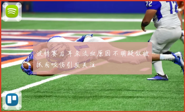 波特赛后耳朵流血原因不明疑似被抓或咬伤引发关注